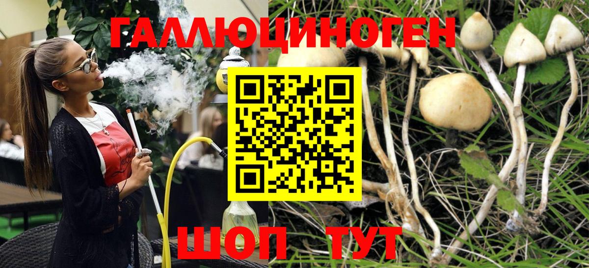 хочу   Галлюциногенные грибы MAGIC MUSHROOMS  Вход с VPN  Миллерово 