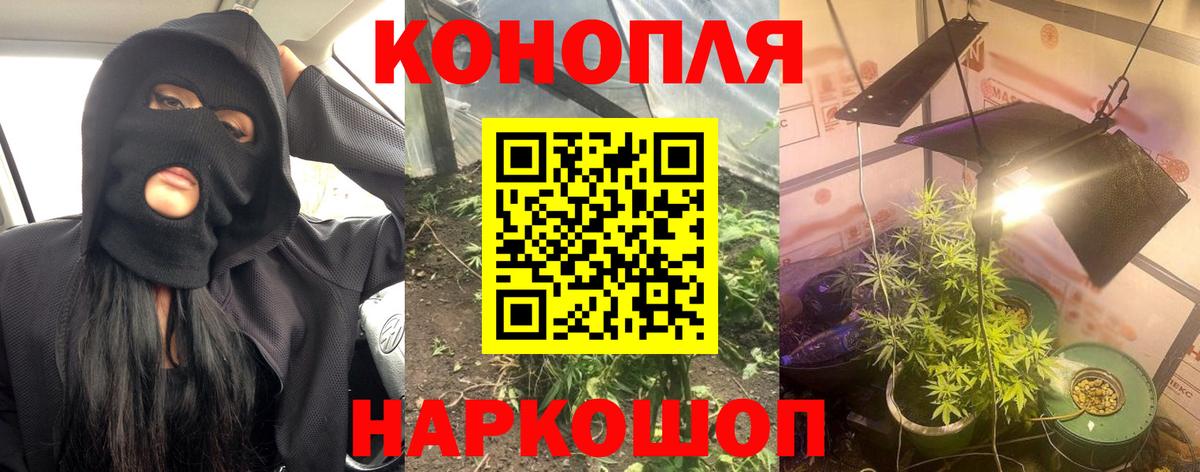 Марихуана OG Kush Миллерово